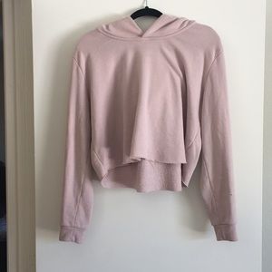 Brandy Melville Cropped Hooded Sweatshirt